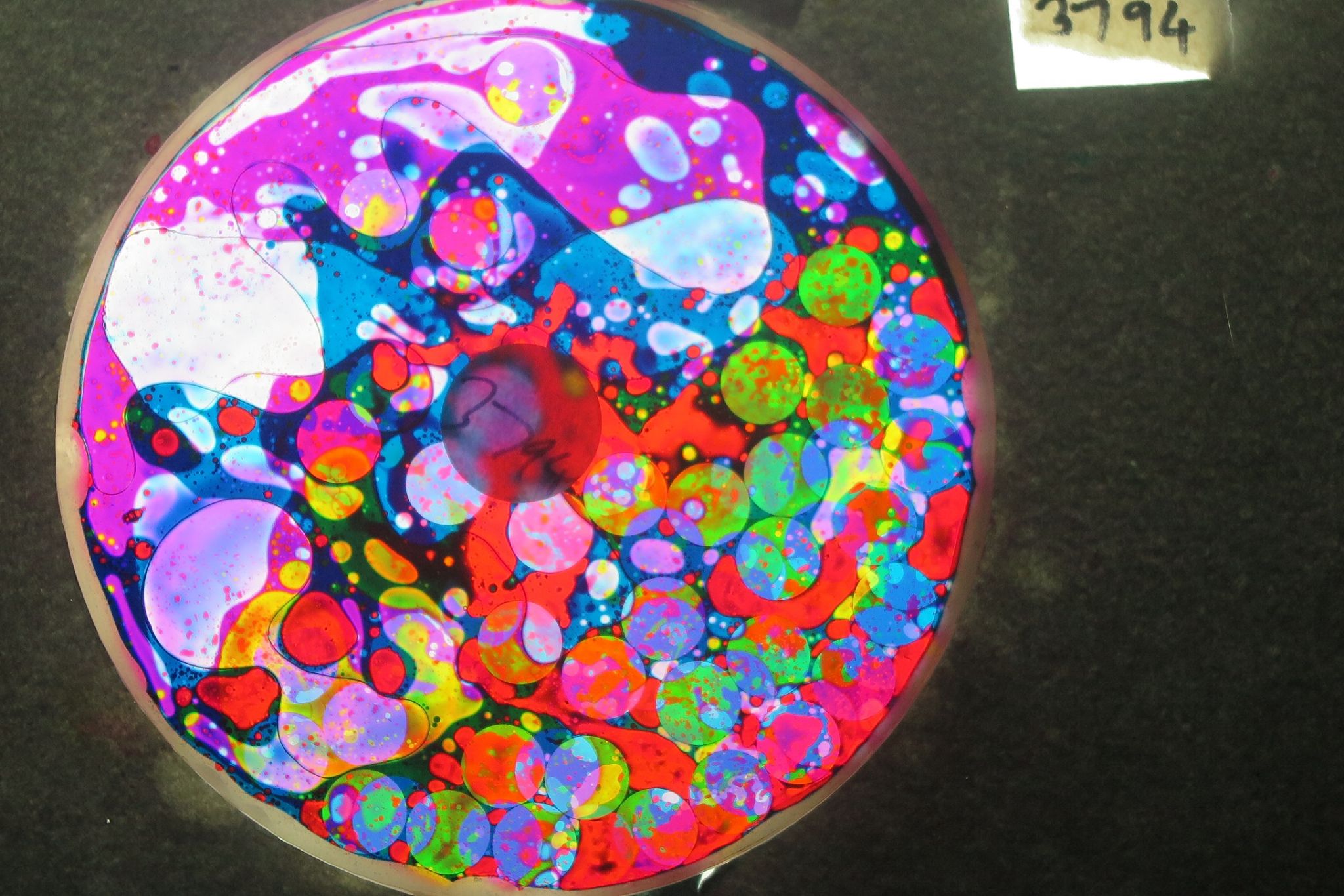 BV3794 bubbler vision oil wheel